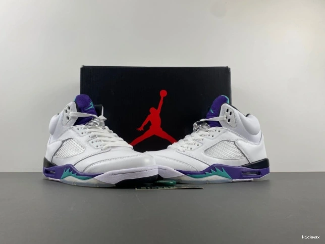 Cheap 136027-108 5 Jordan (2013) Grape Retro Air 0825